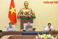 N.A., people’s councils to no longer directly establish thematic supervision missions: draft law